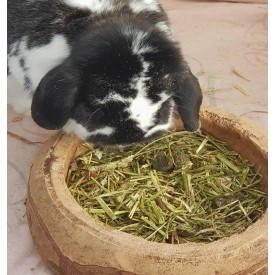 Product: ✓ Rabbit Balance Premium