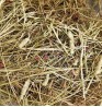 Product: Timothy flower hay