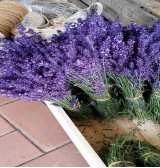 Product: Lavendel hele bos - Actuele voorraad: 9