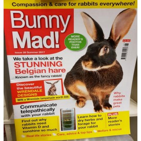 Product: ✓ Bunny Mad  28