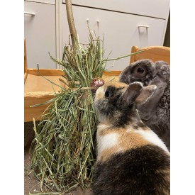 Product: ✓ Bunny Broom mint