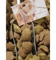 Product: Chanty cookie appel kaneel ster - ChantyPlace.com