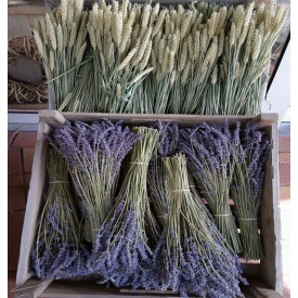 Product: ✓ Lavendel vers